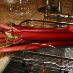 Rhubarb