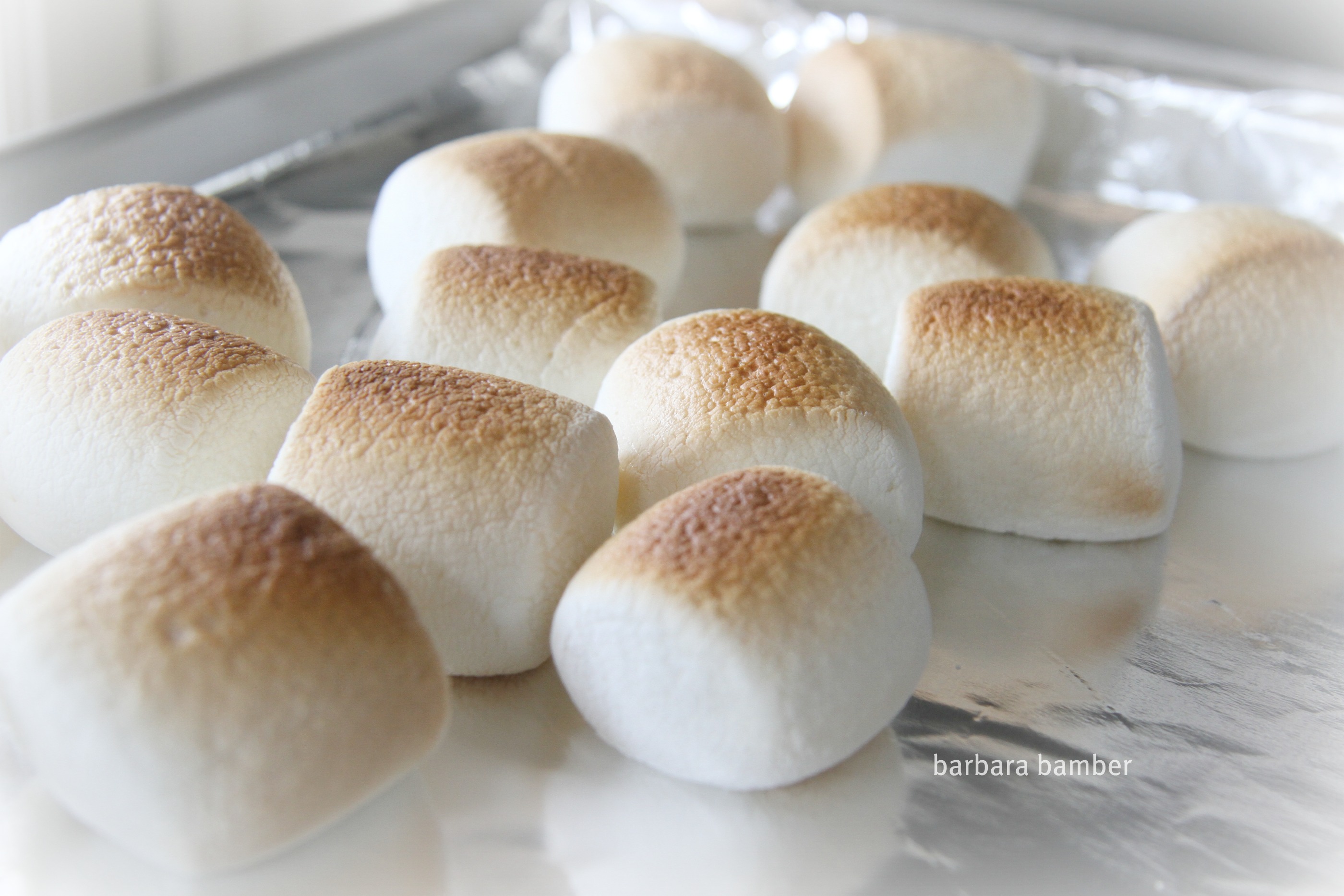 Toasted Marshmallows