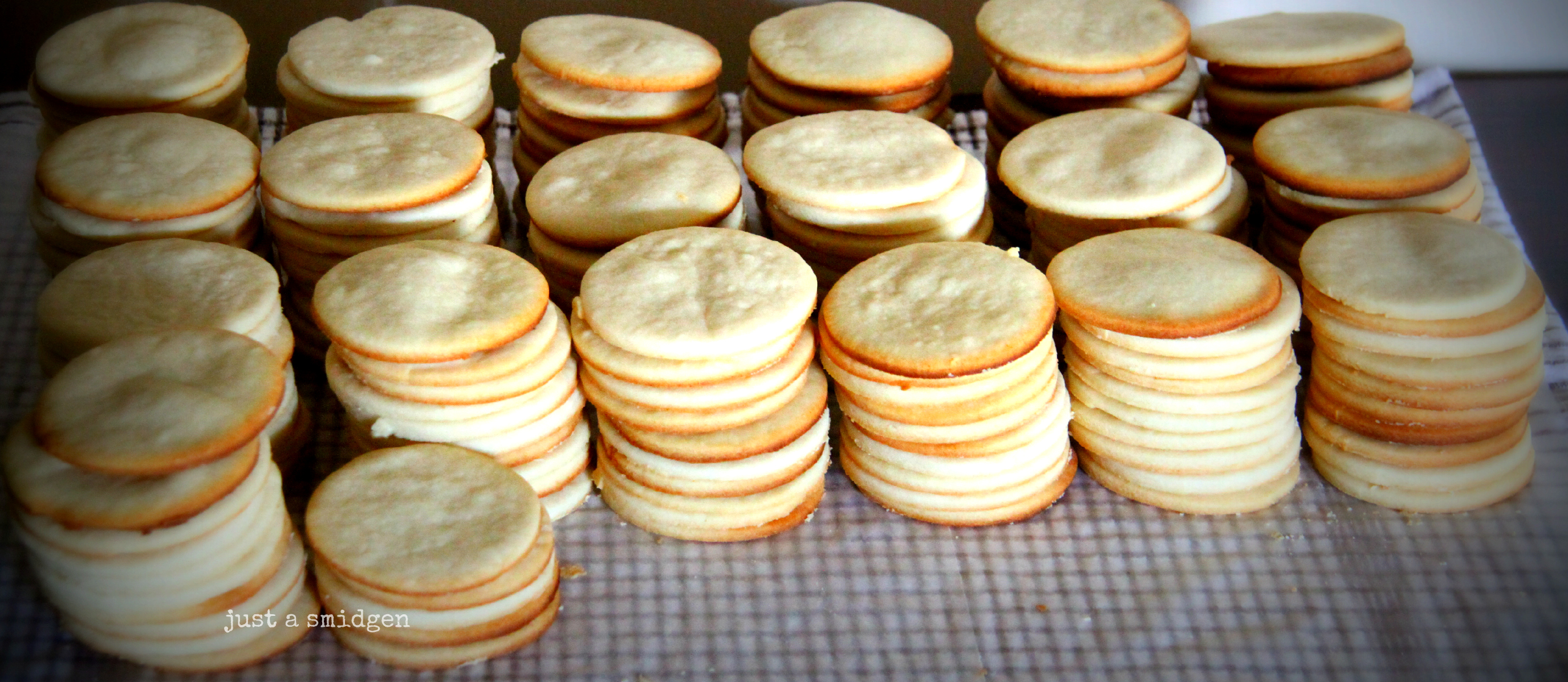 Sugar Cookies