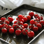 tomatoes