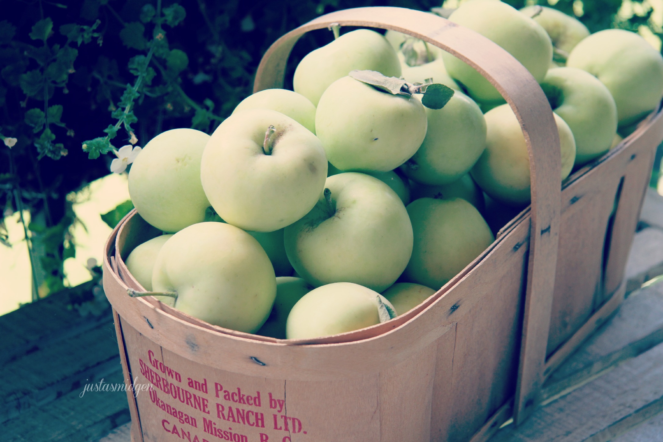 apple basket