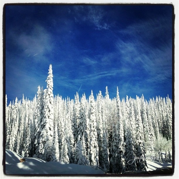 Winter Ale 7