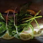 The Paper-Bag Trout
