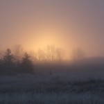 Soliloquy