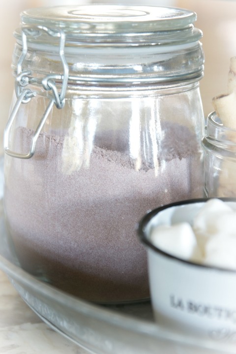 Winter Whites ‘n Spicy Mexican Hot Chocolate Mix in a Jar » Just a Smidgen