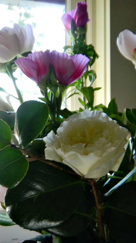 dscn0079(pp_w460_h818)a