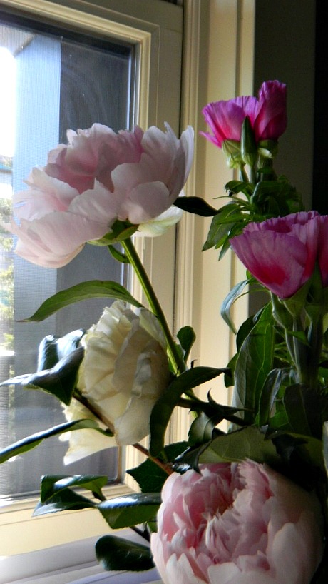 dscn0080(pp_w460_h818)a