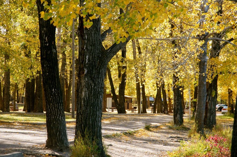 Bowness Park