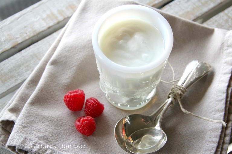 Plain Organic Homemade Yogurt