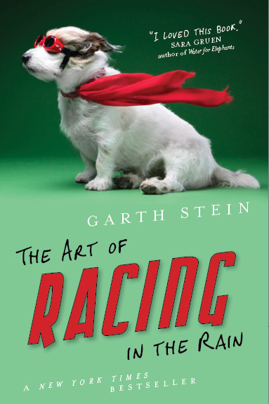 Art of Racing in the Rain