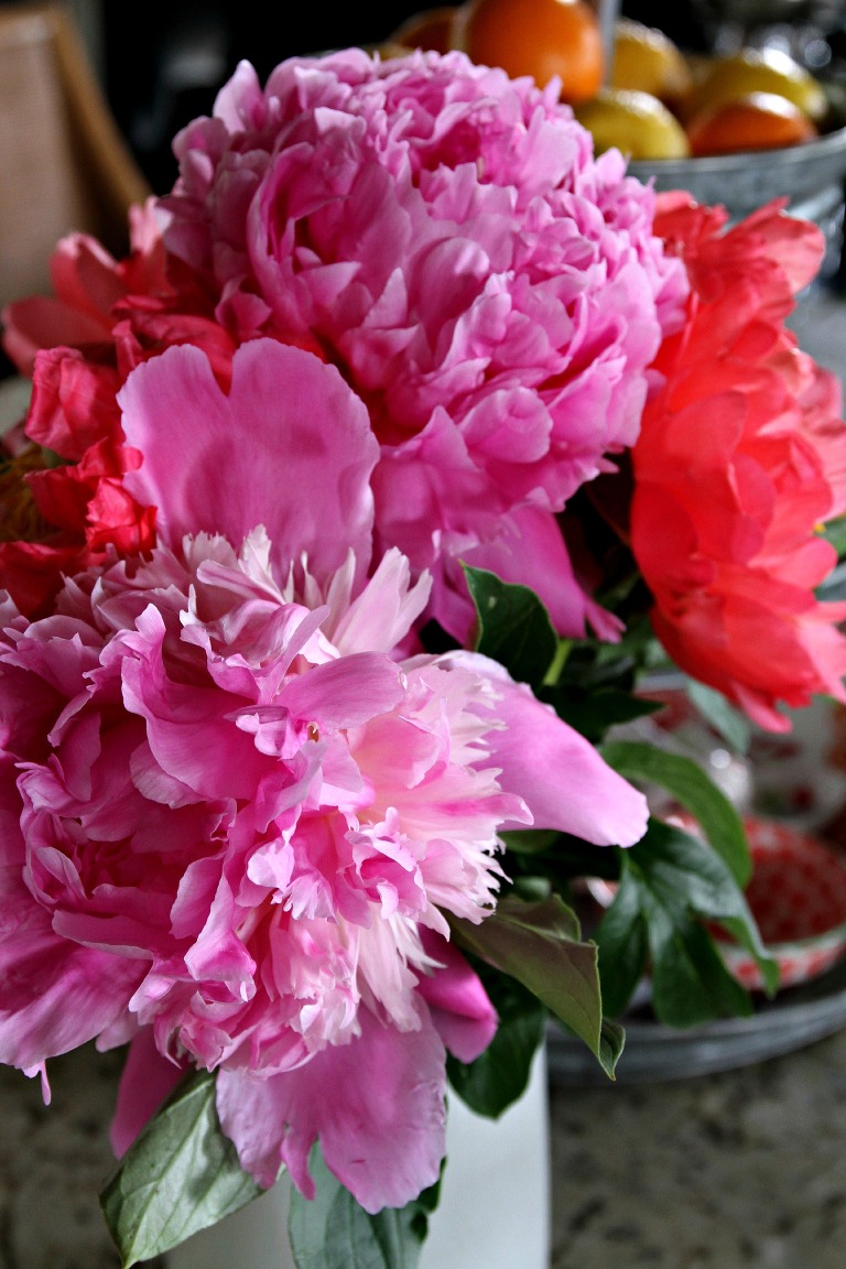 Peonies 11