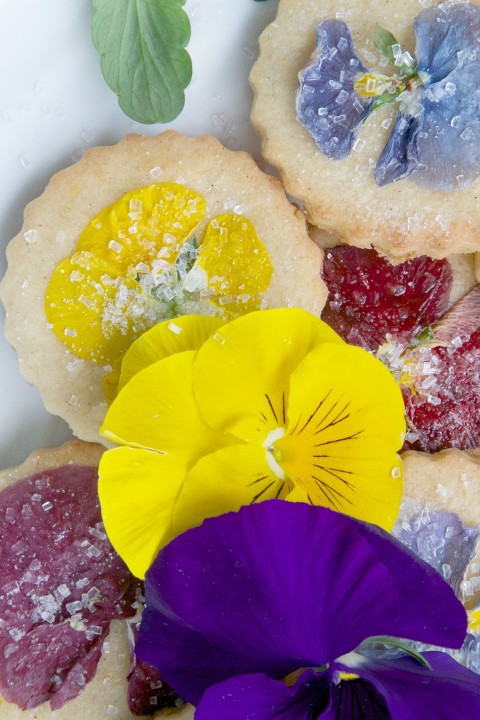 pansy cookies