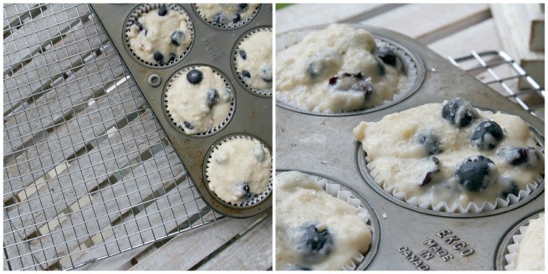 Blueberry Muffins 1