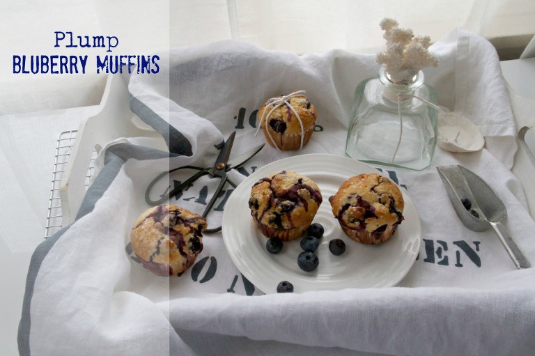 Blueberry Muffins 9