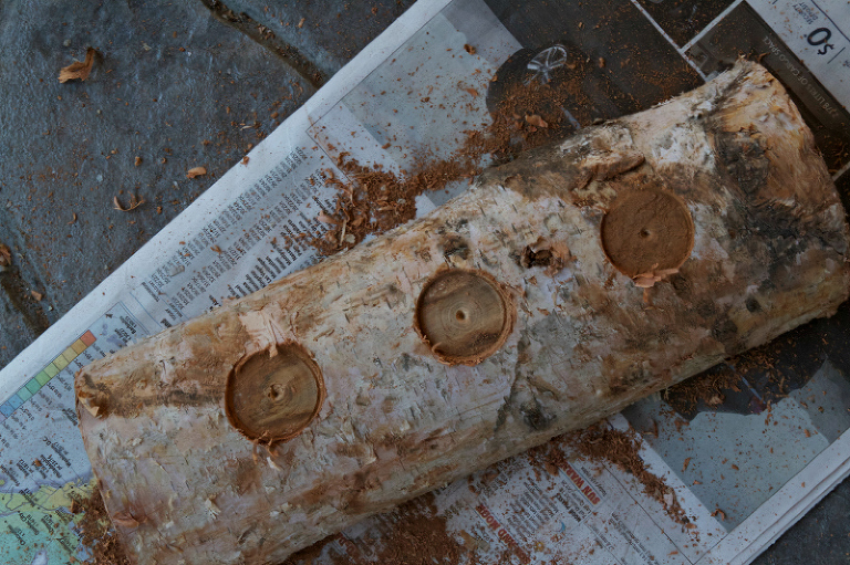 Birch Log Candle4