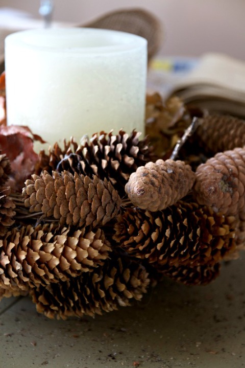 Pine Cone Nest