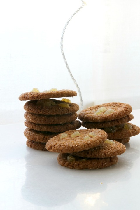 Lois' Ultimate Ginger Snap 3