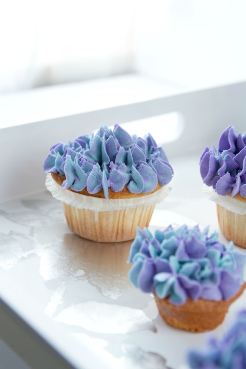 Hydrangea Cupcakes 3