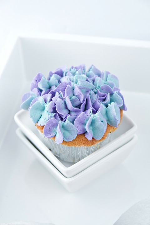 Hydrangea Cupcakes 5