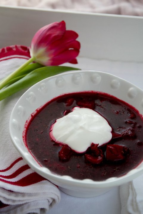 Russian Borscht 2