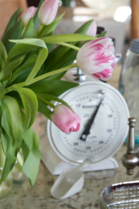 Pink and white tulip bouquet