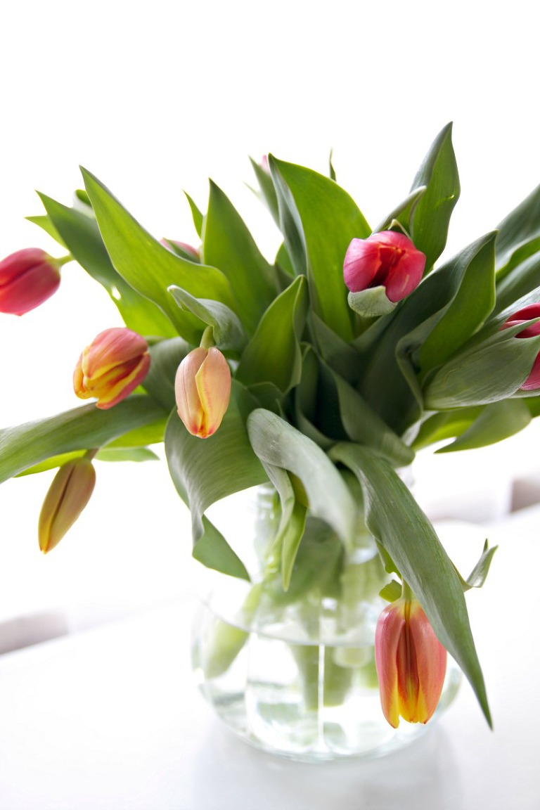 Orange Tulips in a Vase