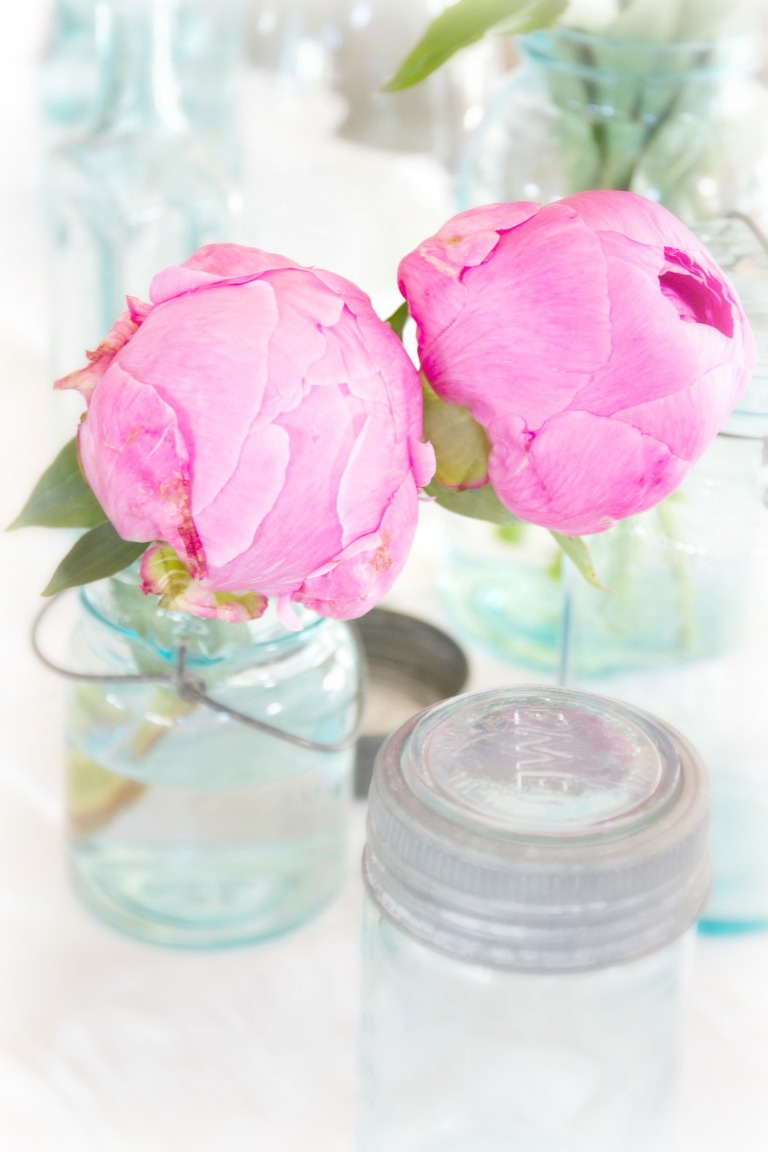 Pink Peonies H