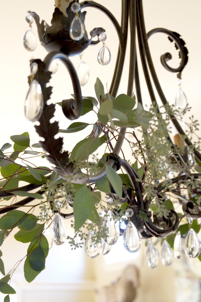 Eucalyptus in Chandelier