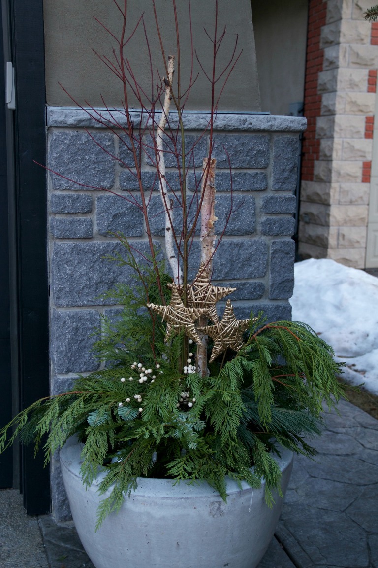 Winter Planters 2