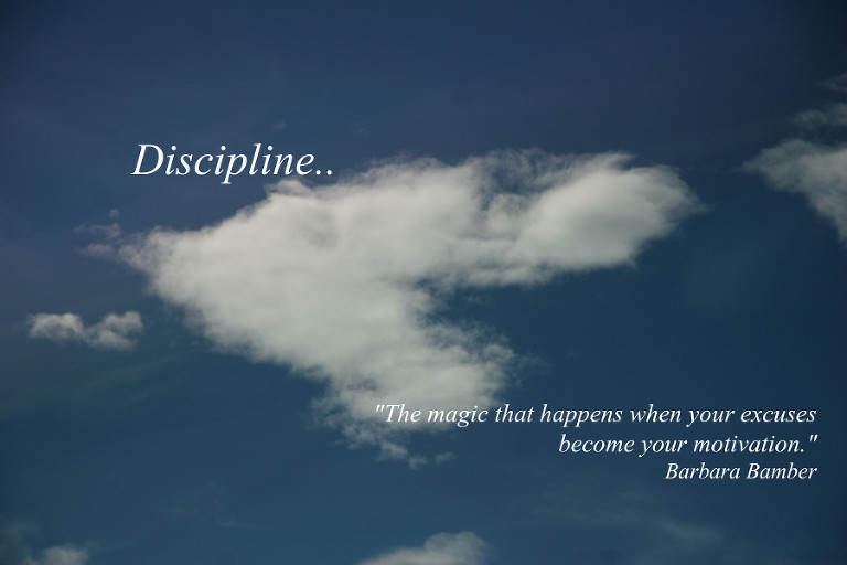 Discipline