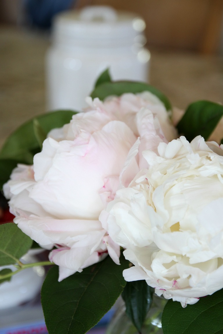 Peony 2