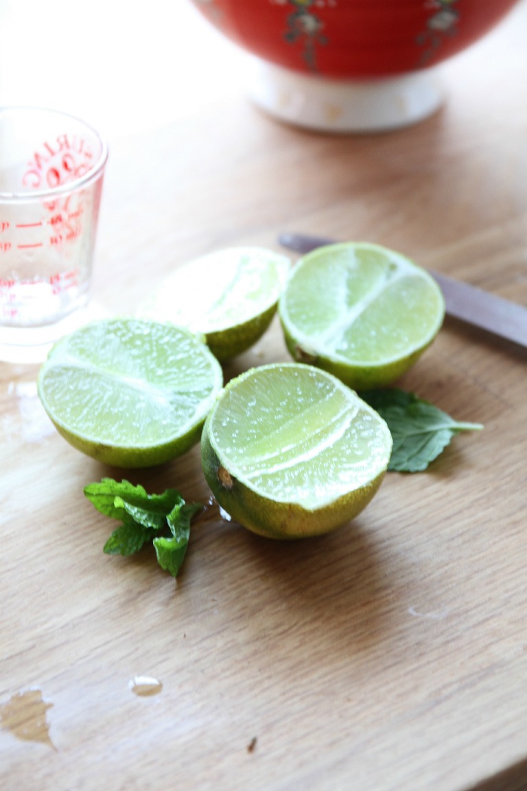 Lime and mint for moscow mule