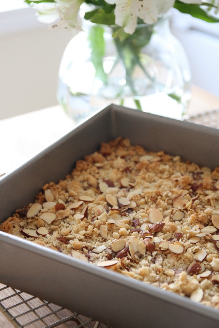 Raspberry Oatmeal Bars 1