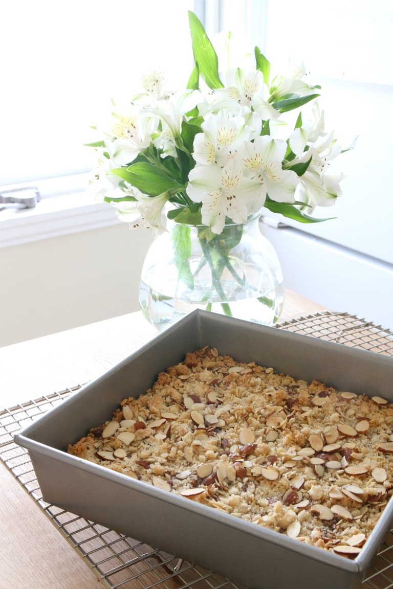 Raspberry Oatmeal Bars 2