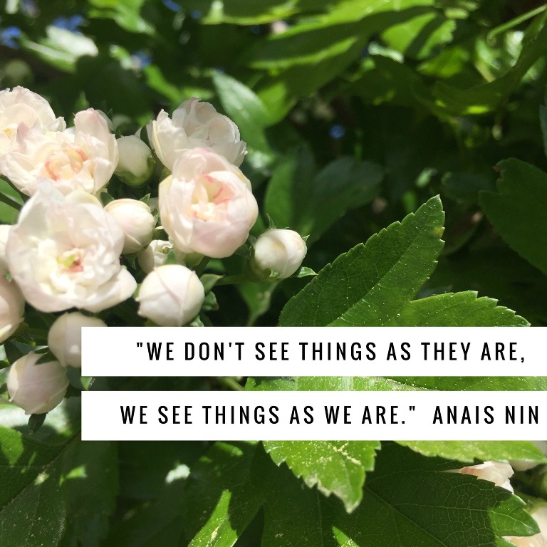 Anais Nin quote